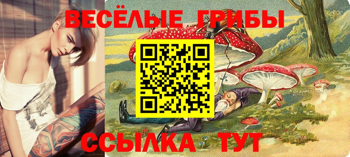 Назарово  Псилоцибиновые грибы мухоморы  Вход с VPN  Галлюциногенные грибы MAGIC MUSHROOMS 